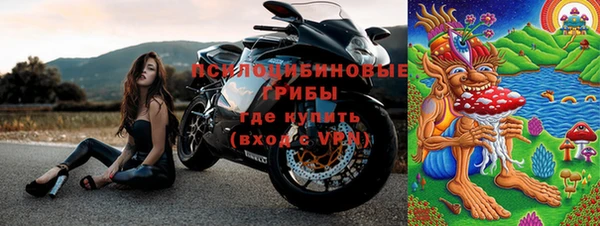 не бодяженный Тында