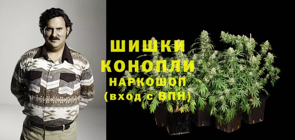 ГАЛЛЮЦИНОГЕННЫЕ ГРИБЫ Гусиноозёрск