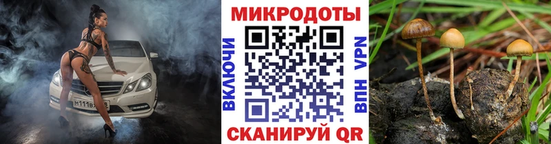 Галлюциногенные грибы мухоморы  kraken рабочий сайт  Котово 
